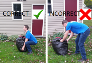 Tips for Proper Yard Clean Up